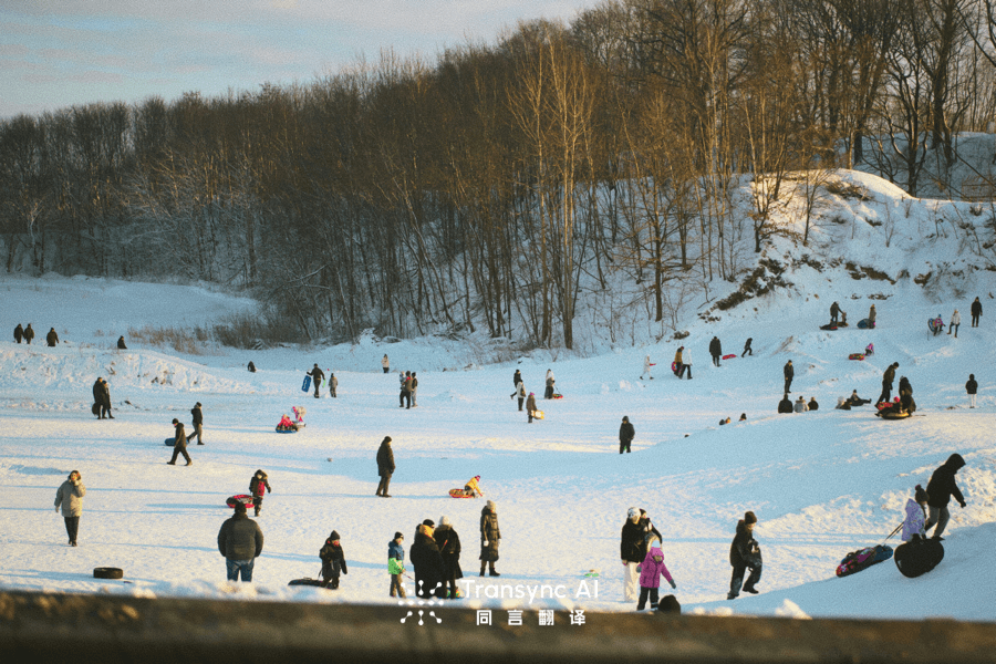 Vocal Translator: Real-Time Speech Translation for 60 Languages