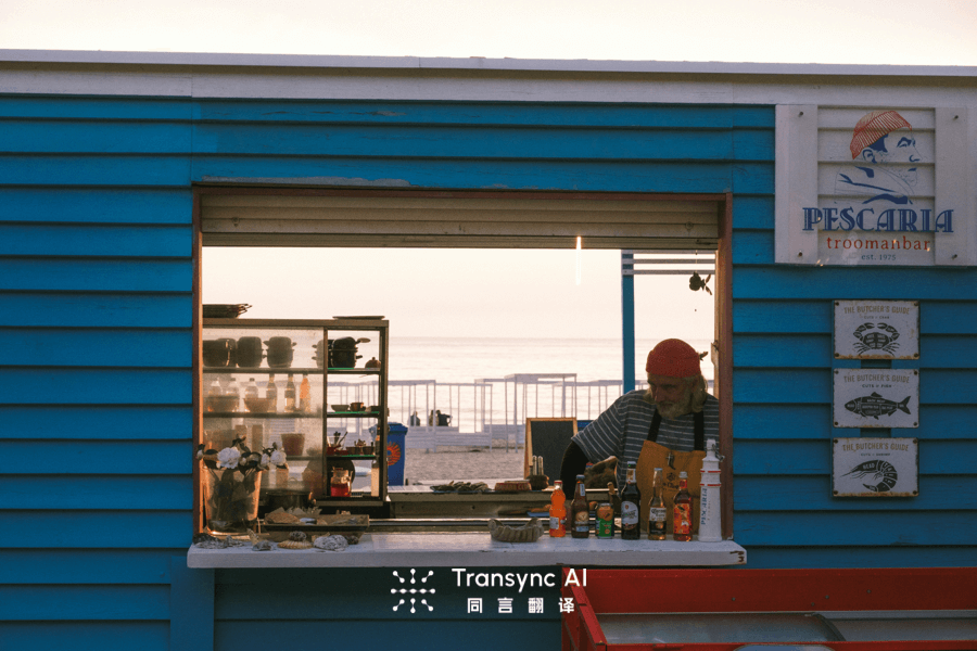 Traductor Voz: Real-Time Voice Translation for Meetings