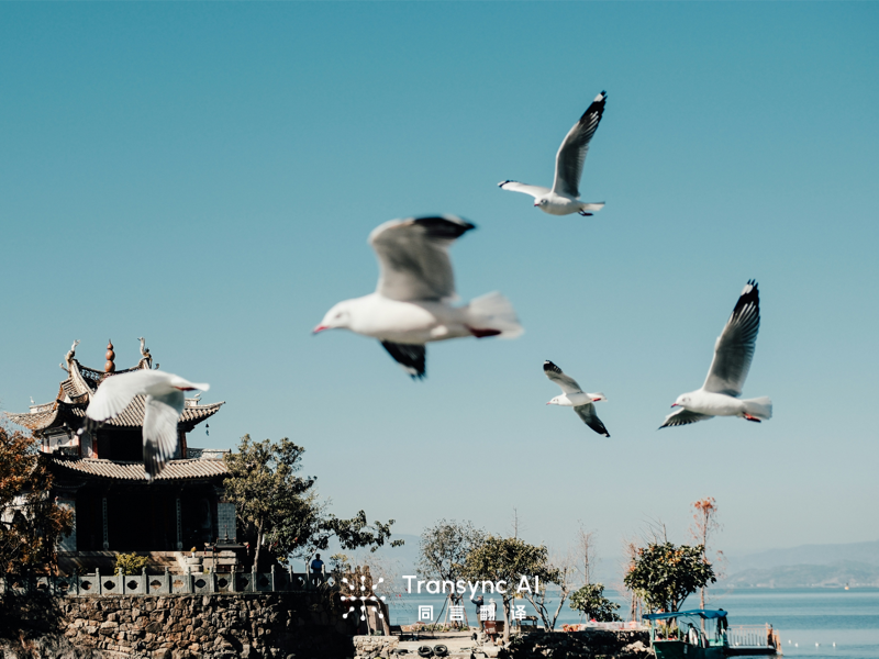 Traducir: Herramientas AI Inteligentes para Traducción Profesional