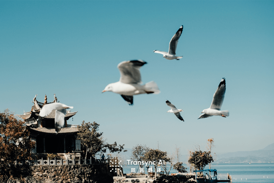 Traducir: Herramientas AI Inteligentes สำหรับมืออาชีพ