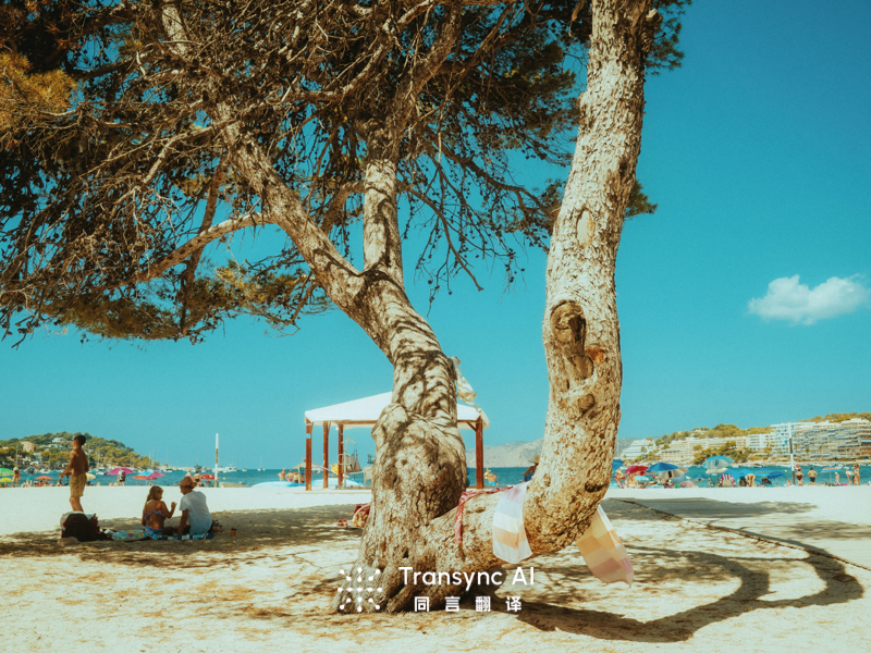 Apakah Layanan Terjemahan Real-Time Premium Sepadan dengan Biayanya untuk Tim Kecil?