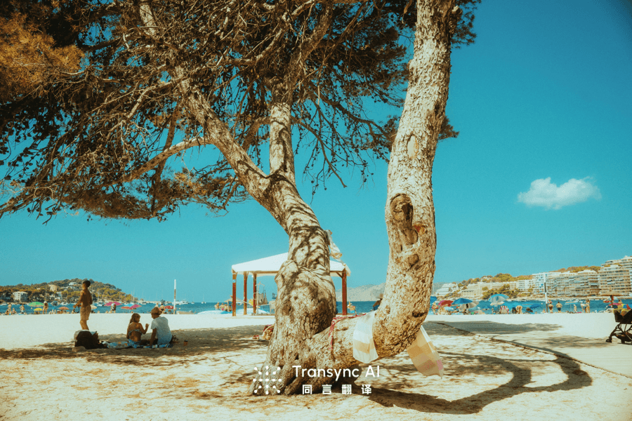 ¿Merece la pena el coste de la traducción en tiempo real premium para equipos pequeños?