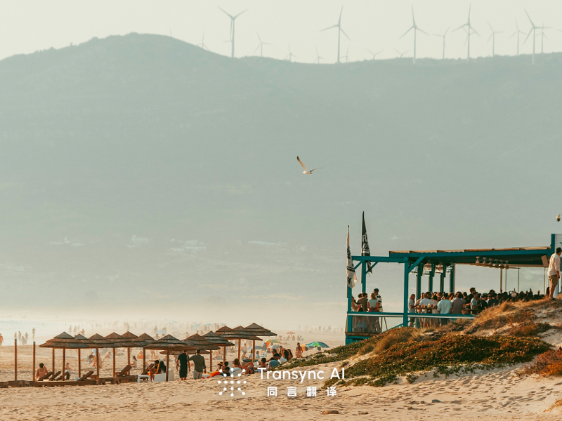 Paid Translation Software vs Google Translate: Key Differences Explained