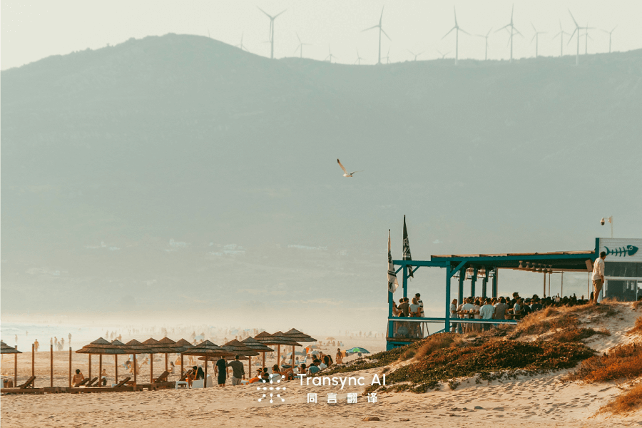 Paid Translation Software vs Google Translate: Key Differences Explained