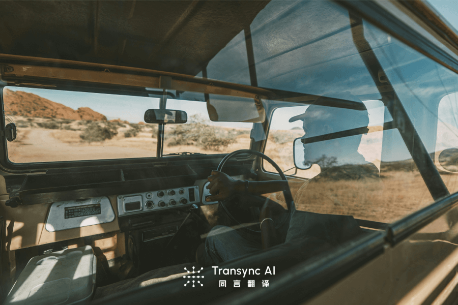 Top Plug-and-Play Translation Tools for Urgent Video Calls