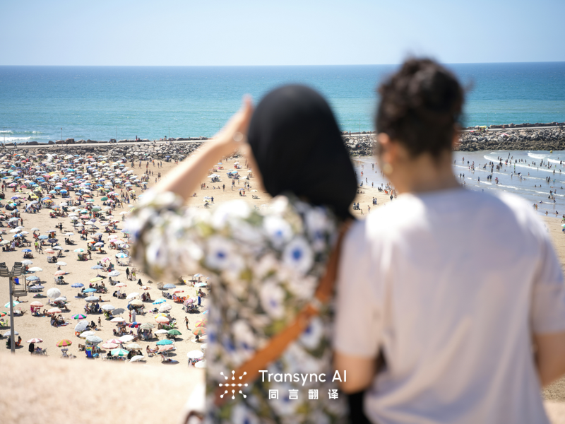 Meeting Platforms with No Plug-Ins Required for Real-Time Translation