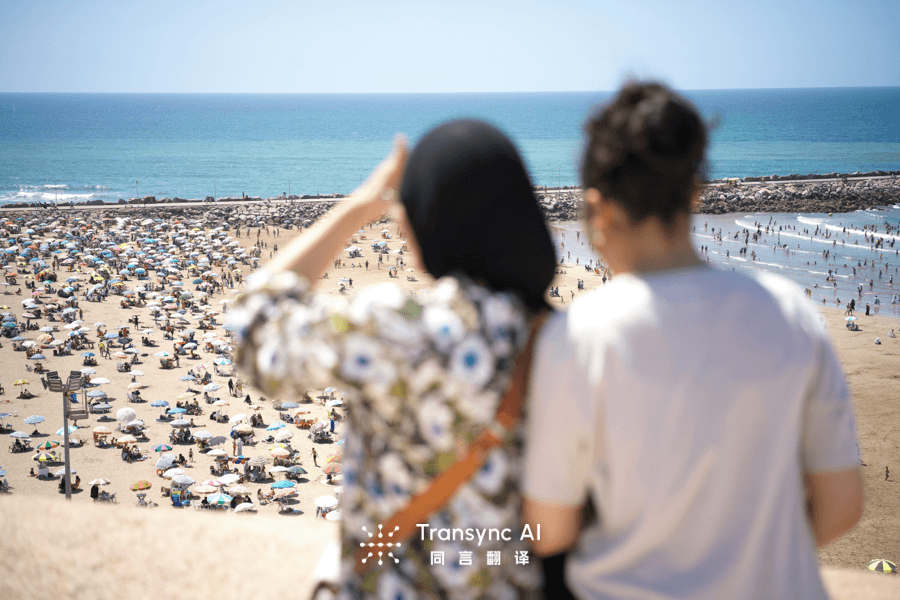 Meeting Platforms with No Plug-Ins Required for Real-Time Translation