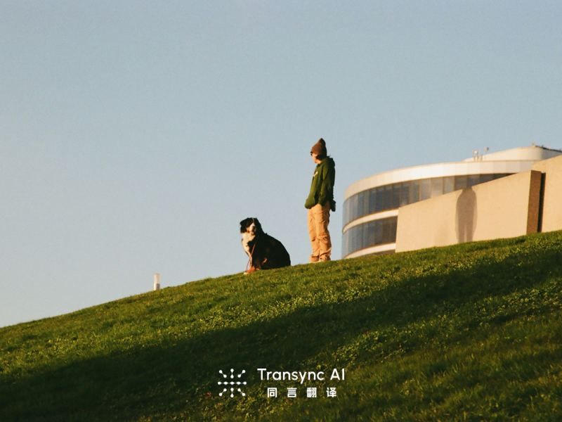 Aplikasi Terjemahan untuk Rapat: 6 Ulasan Jujur di Tahun 2026