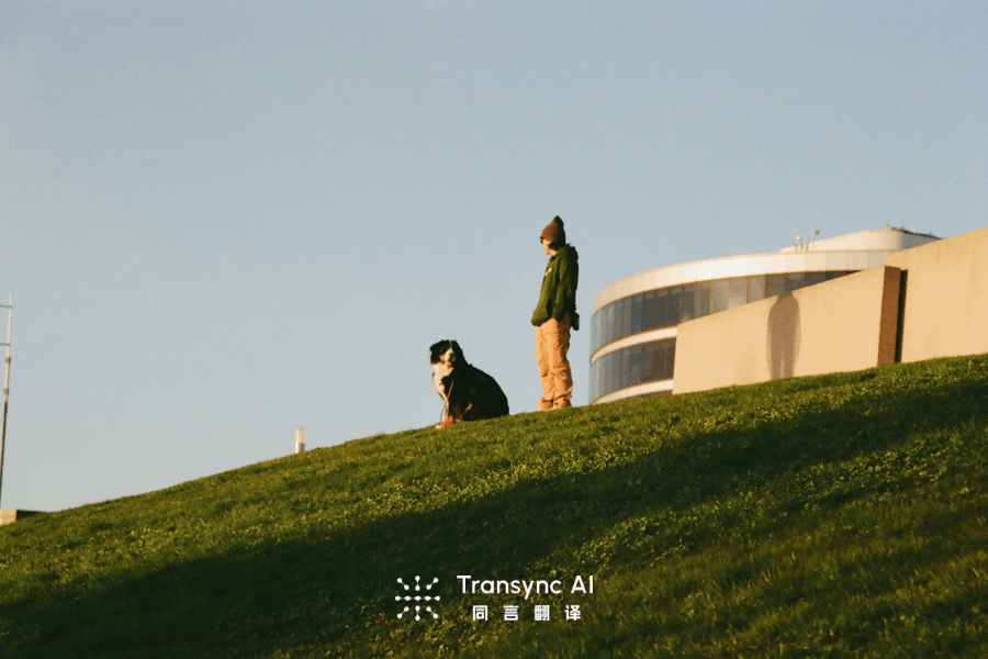 Translation Apps for Meetings: 6 Honest Reviews in 2026